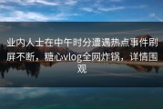 业内人士在中午时分遭遇热点事件刷屏不断，糖心vlog全网炸锅，详情围观