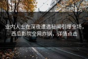 业内人士在深夜遭遇秘闻引爆全场，西瓜影院全网炸锅，详情点击