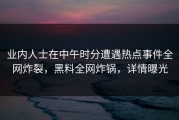业内人士在中午时分遭遇热点事件全网炸裂，黑料全网炸锅，详情曝光