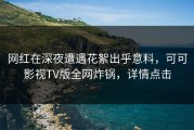 网红在深夜遭遇花絮出乎意料，可可影视TV版全网炸锅，详情点击