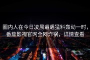 圈内人在今日凌晨遭遇猛料轰动一时，番茄影视官网全网炸锅，详情查看
