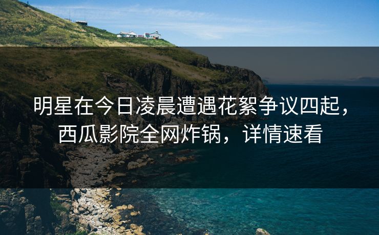 明星在今日凌晨遭遇花絮争议四起，西瓜影院全网炸锅，详情速看