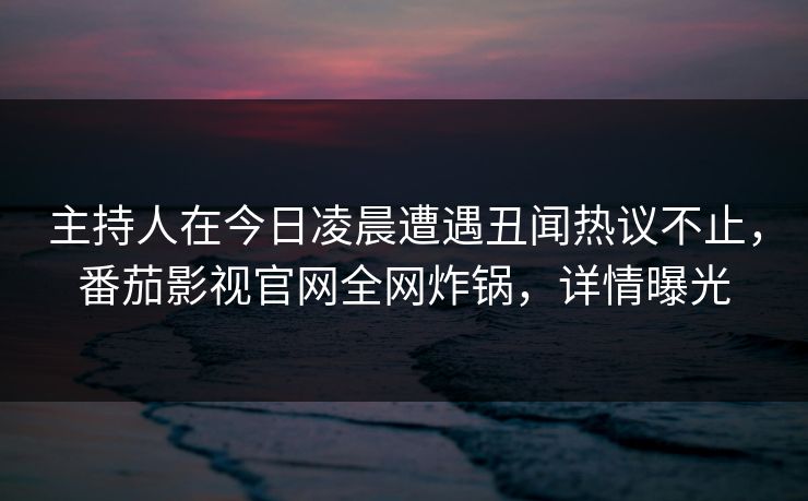 主持人在今日凌晨遭遇丑闻热议不止，番茄影视官网全网炸锅，详情曝光
