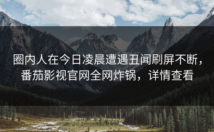 圈内人在今日凌晨遭遇丑闻刷屏不断，番茄影视官网全网炸锅，详情查看